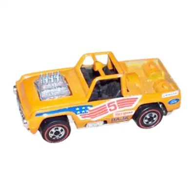 <span class='esconder'>1976 </span>Baja Bruiser
